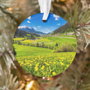 Ornamento Flores Cantão de Dandelion de Grisons, Suiça