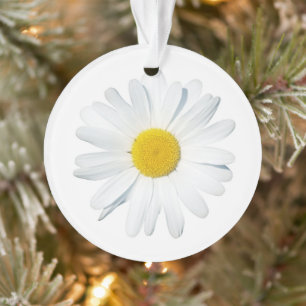 Ornamento Flores   Daisy Solteiro