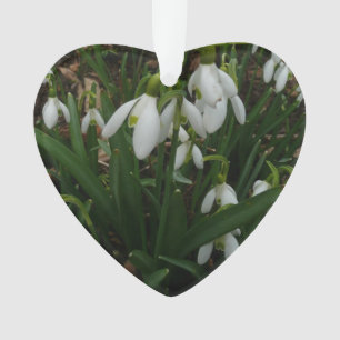 Ornamento Flores de primavera Brancas I (Galanthus)