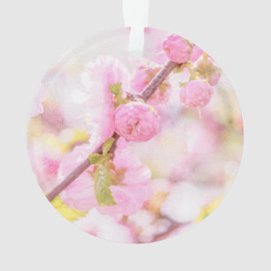 Ornamento Flores de sakura cor-de-rosa - flor de cereja japo