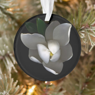 Ornamento Flores Flor Solteiro Magnolia Branca