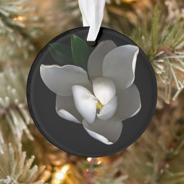 Ornamento Flores | Flor Solteiro Magnolia Branca (Árvore)
