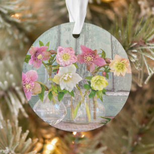 Ornamento Flores   Hellebores em Vases
