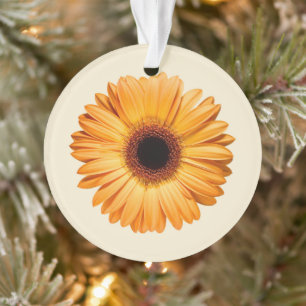 Ornamento Flores   Orange Gerbera