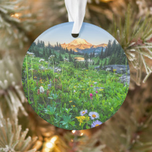 Ornamento Flores Parque Nacional Monte Rainier