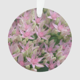 Ornamento Flores Tropicais bonito Rosa Ornadas Acrílicas