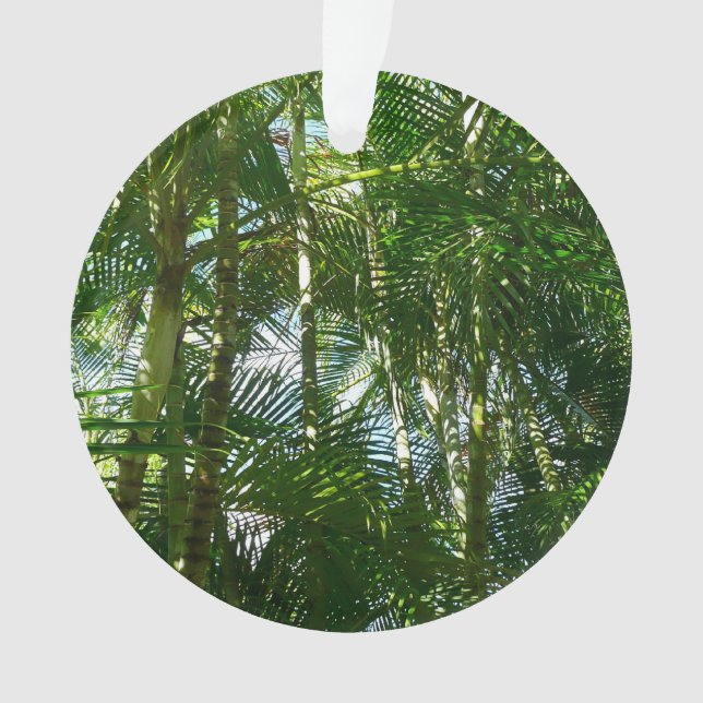 Ornamento Floresta de Palmeiras Natureza Tropical (Frente)