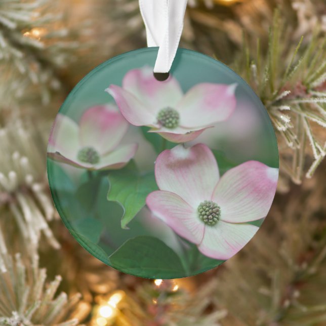 Ornamento Flowers | Dogwood Blossoms (Árvore)