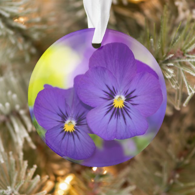 Ornamento Flowers | Purple Pansies (Árvore)