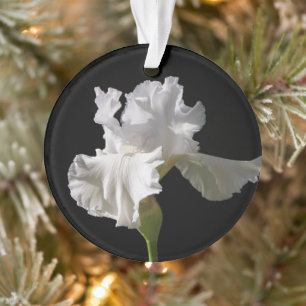 Ornamento Flowers   White Iris