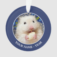 Fluffy - Hamster Sírio Kokolinka