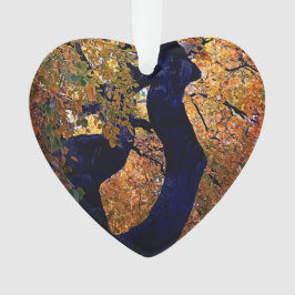 Ornamento Folhas amarelas e laranja