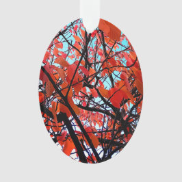 Ornamento Folhas de laranja