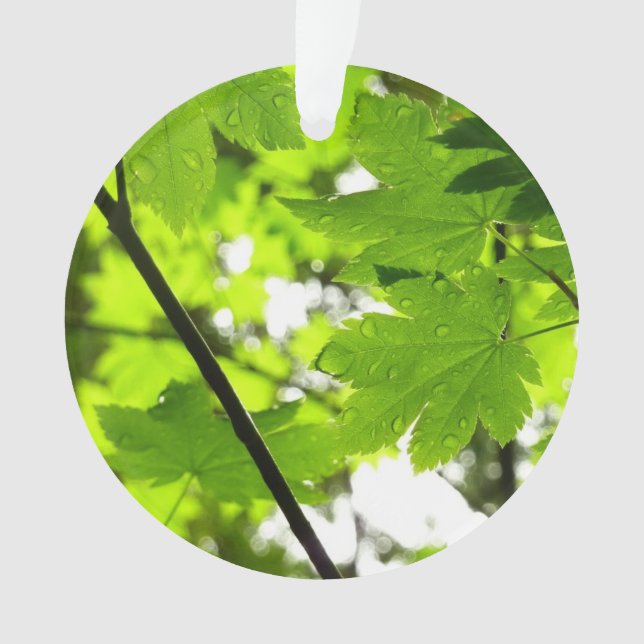 Ornamento Folhas de Maple com Gotas de Rainha (Frente)