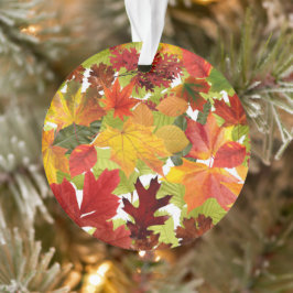 Ornamento Folhas de outono do outono