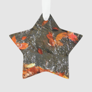 Ornamento Folhas de outono em Cágua Fotografia de outono I