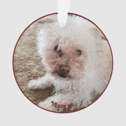 Ornamento Forma Cardíaca Preenchida de Pawprint Vermelho, Ci