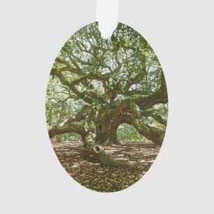 Ornamento Forte e corajoso