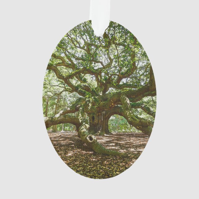 Ornamento Forte e corajoso (Verso)