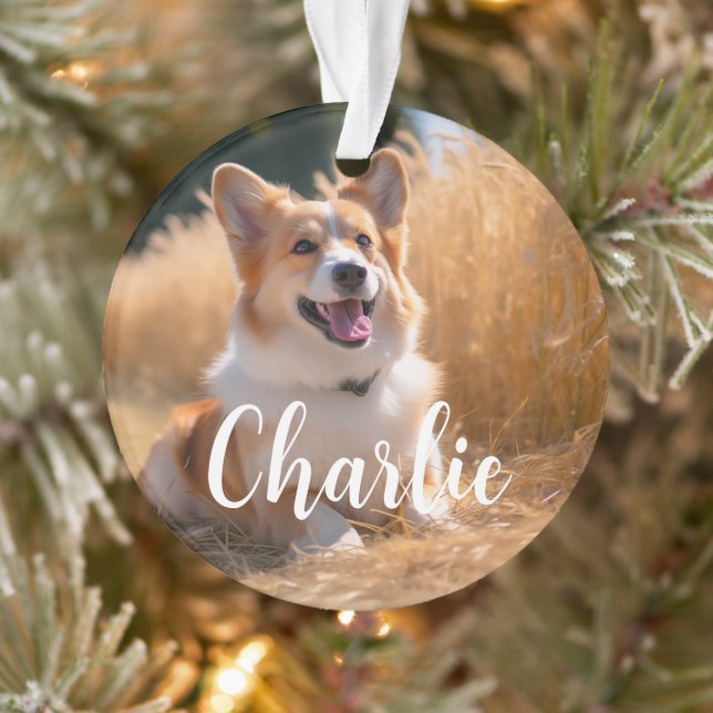 Ornamento Foto de animal de estimação personalizada com nome (Árvore)