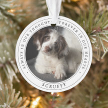 Foto de Cachorro Pet Simples Memorial Recordação