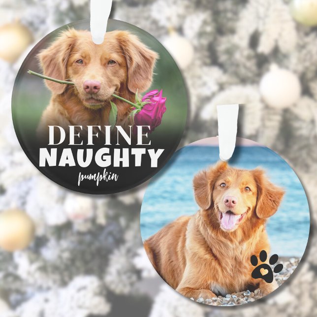 Ornamento Foto De Cão Bastante Definida (Cute Define Naughty Dog Photo Ornament)