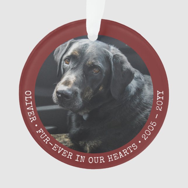 Ornamento Foto de Cão de Gato de Memória Pet para Sempre Per (Frente)
