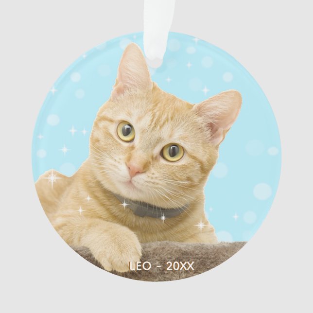 Ornamento Foto de Cat. Ginger Tabby Personalizada (Frente)