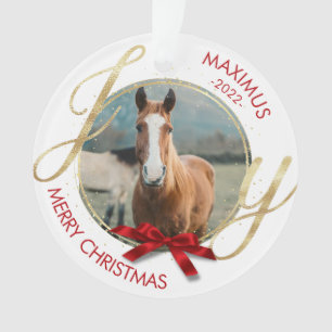 Ornamento Foto de Equestre Personalizado