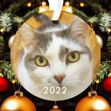 Foto de Família de Pet Personalizada Natal