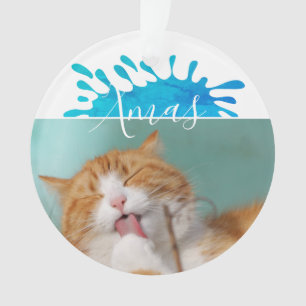 Ornamento Foto de Gato Natal Roteiro de Natal