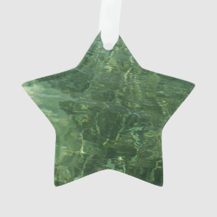 Ornamento Foto de Grama II (Azul e Verde)