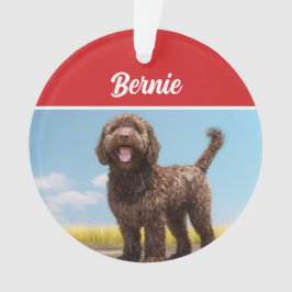 Ornamento Foto de Natal de Barbet Dog Holiday