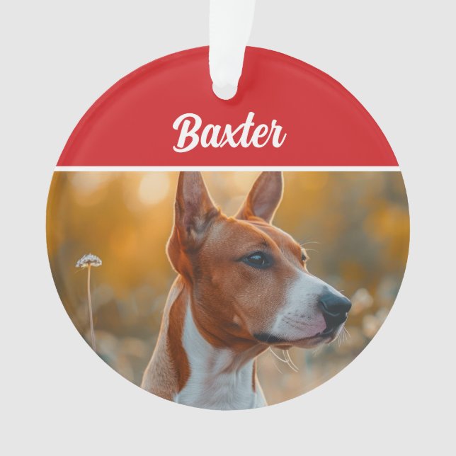 Ornamento Foto de Natal de Basenji Dog Holiday (Frente)