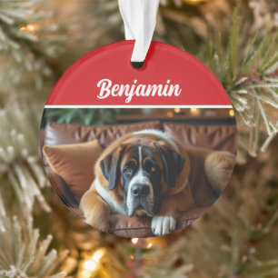 Ornamento Foto de Natal de Cachorro São Bernardo Fofa Férias
