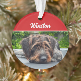 Ornamento Foto de Natal de Feriado de Cachorro Cachorro Cort