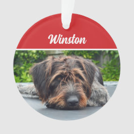 Ornamento Foto de Natal de Feriado de Cachorro Cachorro Cort