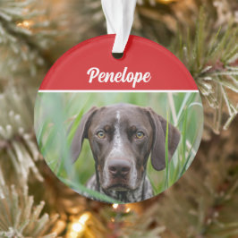 Ornamento Foto de Natal de Feriado de Cachorro Curto