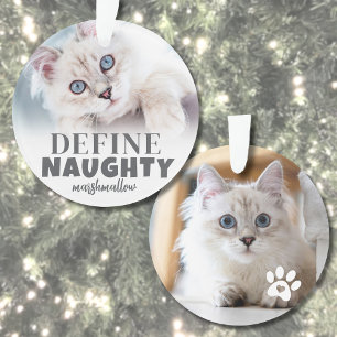 Ornamento Foto de Natal de Pet Divertido Definir Travesso