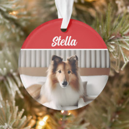 Ornamento Foto de Natal do Feriado de Cachorro Bonito