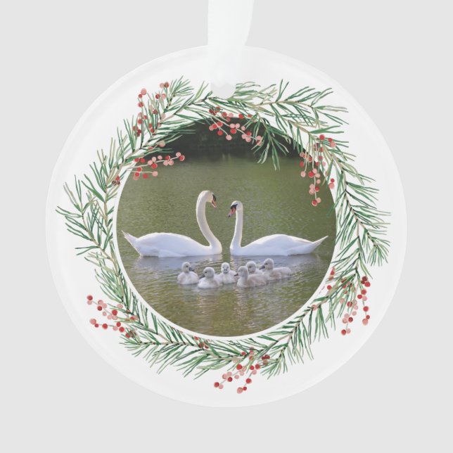 Ornamento Foto de Swan com quadro de berry (Frente)