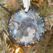 Foto do primeiro Chanucá do bebê ou do Pet