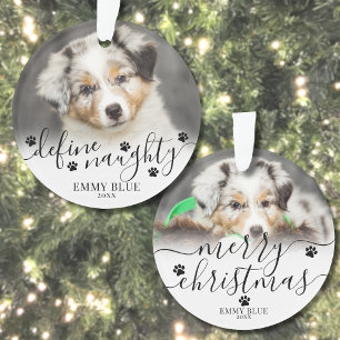 Ornamento Foto Engraçada de Cachorro de Natal