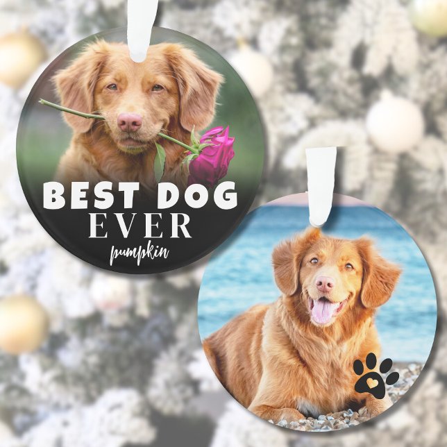 Ornamento Foto Moderna Personalizada Fofa do Melhor Cachorro (Personalized Cute Best Dog Photo Ornament )