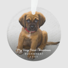 Ornamento Foto Moderna Simples - Primeiro Natal