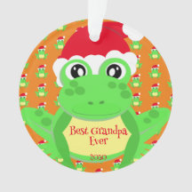 Foto Natal Laranja Sapo Santa Hat - Fofo