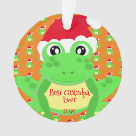 Ornamento Foto Natal Laranja Sapo Santa Hat - Fofo