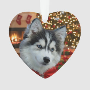 Ornamento Foto Personalizada de Animal de Estimação "Amor" c