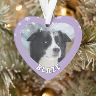 Ornamento Foto Personalizada de Cachorro Border Collie no Na