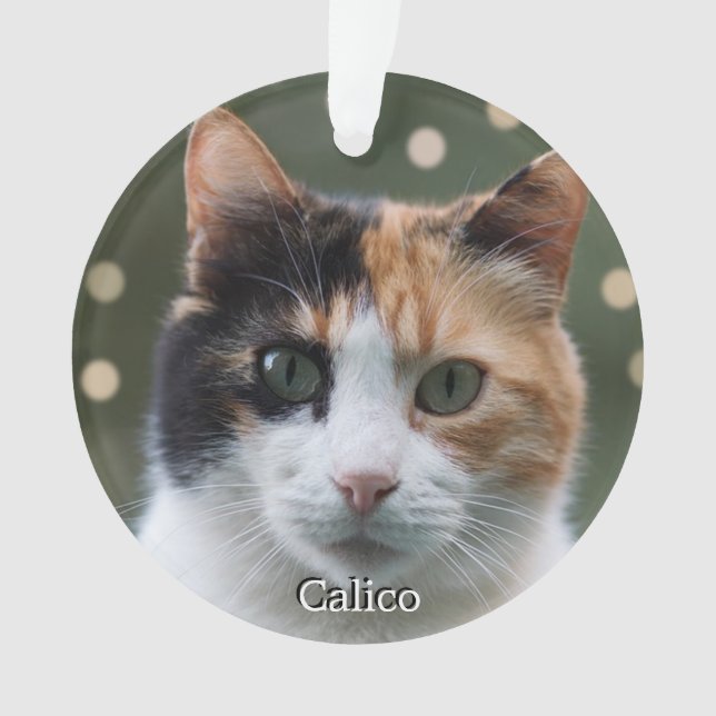 Ornamento Foto personalizada de gato calico (Frente)
